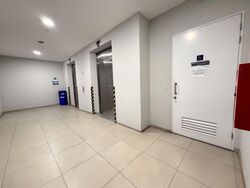 Ct Hub (D12), Factory #604749991